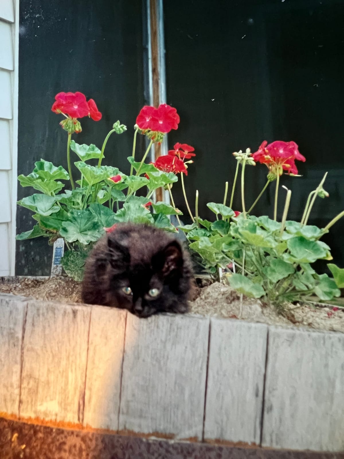 when you were Richerd